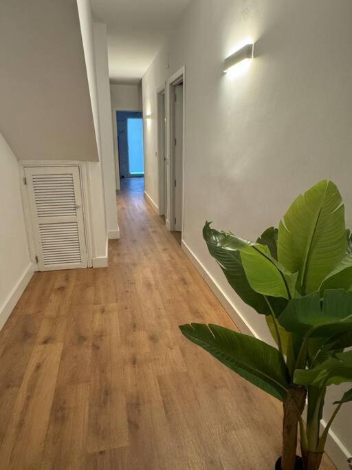 Apartamento Chicharro A 바에자 외부 사진